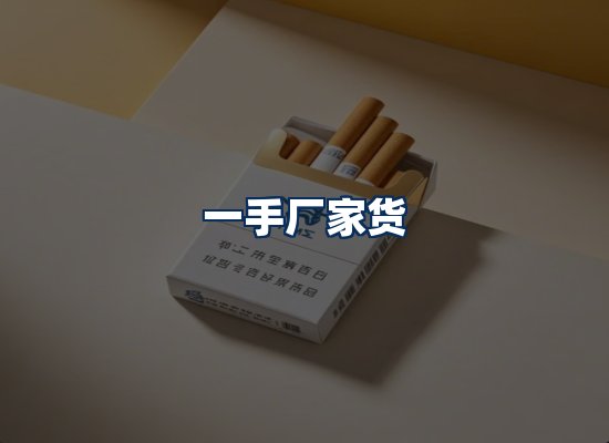 专业团队办公环境